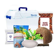 로라펫 코코칩 바닥재 산코 젤리 소라게 키우기 세트, 혼합색상