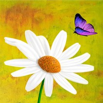 꽃과 나비 인테리어 그림액자 실사출력 peaceholic, 6S (﻿31.8cmX31.8cmX2cm), 꽃과나비