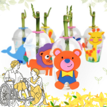어르신 노인 개운죽 키우기 세트 10인용 키우기 쉬운 식물 수경재배 요양 병원 프로그램