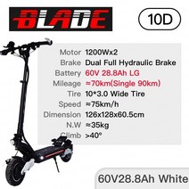 접이식 렌탈 휠 블레이드 10 전기 스쿠터 60V 듀얼 모터 2*1200W 속도 75 km/h 인치 타이어 스케이트, 04 60V28.8Ah White