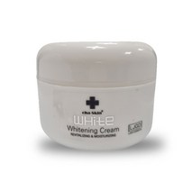 차스킨 화이트 영양크림, 110g, 2개