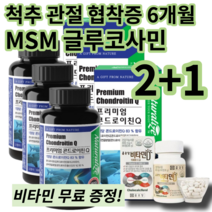 [2+1] 척추 허리 협착증 6개월 대용량 콘드로이친 상어연골 관절엔 무릎 연골 부모님 갱년기 약국 영양제, 2+1할인적용&무료배송
