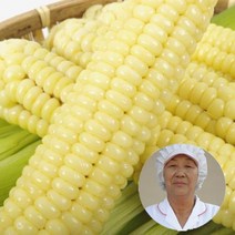 햇생물 괴산대학찰옥수수 정품/엄정선별품, 찐 냉동30개