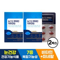 눈건강루테인지아잔틴 2박스 (500mg x 60정)/루테인, 단품, 단품