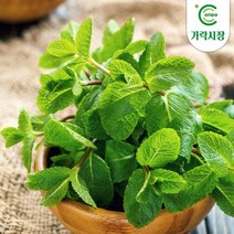 온도씨 가락시장 허브 10g 모음전(딜 로즈마리 타임 애플민트 外), 딜 10g