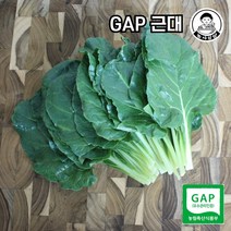 [농사임당] GAP 근대 500g/1kg, 500g