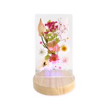LED 압화 무드등 만들기 4종 (1인셋_택1), 4_비비드(TDPF-4)