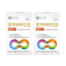 종근당 활성비타민B플러스 고함량 비타민B군 4개월분, 활성비타민B플러스 60정x2개 4개월분