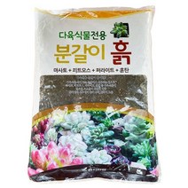 다육식물전용 분갈이흙 약1.5kg, 1개