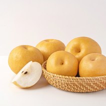 GAP인증 고당도 신고배 실속세트5kg(9~10과)/김장용배