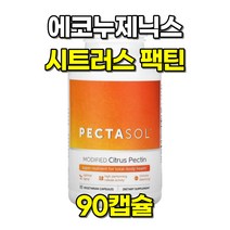 에코누제닉스 페타솔 MCP 변형 시트러스 펙틴 90캡슐