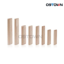 페스툴 D 12x100/100 BU 도미노핀 100EA DF700용 498216