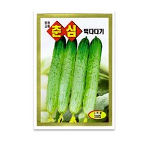 모칸도 동원 춘심백다다기 오이씨앗 50립, 1봉