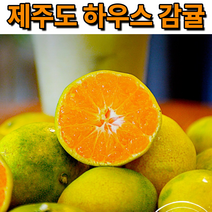 꿀꿀도매 제주 하우스 감귤 1kg2kg3kg5kg, 1개, 3kg(꼬마(2S 미만))