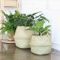왕골 라탄 해초 바구니 소쿠리 손잡이 바스켓 화분 귤 내추럴 원형, 7호