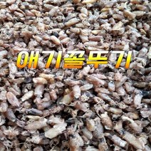 구매평 좋은 건어물꼴뚜기 추천순위 TOP 8 소개
