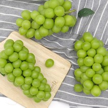 가족 상주 샤인머스켓 1kg (500g*2팩), 2개