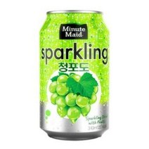 코카)미닛메이드 스파클링 청포도 345ml (캔)_24개입, 상세페이지 참조