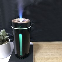 차량용 공기청정기 파워 에코 차량 자동차, 블랙[플러그인] 싱글 디퓨저