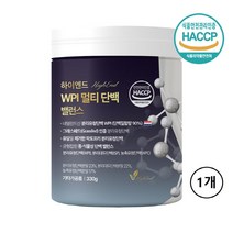 분리유청 단백질 wpi 식약청 해썹 인증 락토프리 mbp 류신 bcaa 프로틴 보충제 쉐이크 분말 가루 파우더 고순도 포대 웨이 농축 wpc 식물성 동물성 우유 eaa 추천 부스터, 330g, 1개