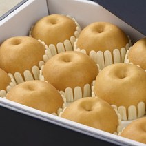 나주로농산 나주배 가정용 배즙용 선물세트, 가정용 3kg 7과이내