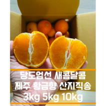 제주 당도높은 하우스귤 황금향 3kg 5kg 10kg 선물용 가정용 제주 감귤 황금향 하우스귤 가정용 선물세트 제주 제철 고품질, 3kg(11-14과)
