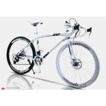 알루미늄 10만원대 로드자전거 로모티브 립락 알톤, 레인보우 컬러 24 스피드 40 나이프