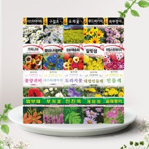 솔림텃밭몰 10월 파종 가능 꽃 야생화 씨앗 모음, 39. AR옥잠화 20립