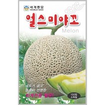 얼스미야꼬 100립 / 과일 멜론 씨앗 종자 텃밭키우기 채소키우기