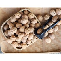 지리산 천왕봉로 신품종 햇피호두, 1box, 1kg+호두망치