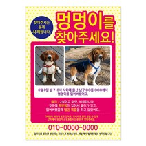 그린애드컴 애완견 반려동물 실종전단지 반려동물실종 강아지실종 고양이실종 애완견찾기 강아지를찾아주세요 소량 인쇄, 100매