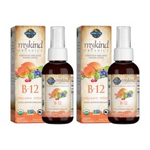 가든오브라이프 비타민 B12 VitaminB 500mcg 58ml 스프레이형 2통