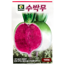 수박무 100립 무씨앗 과일무 안토시아닌