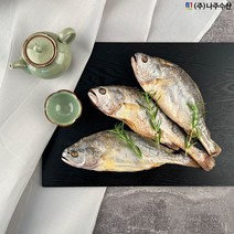 영광법성포 찜 부세보리굴비 50미(특대)170g이상 / 내장제거 / 진공포장 / 나주수산, 1개