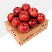 [명품농원] 당도선별 문경사과 부사 2kg 선물세트, 1박스, 03. 명품농원 중소과 2kg(8~9과)-선물용