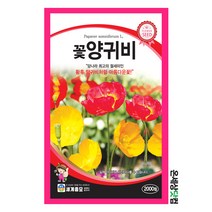 꽃양귀비 2000립/ 양귀비꽃씨앗 양귀비꽃씨 양귀비 꽃씨 화단 꽃밭 정원