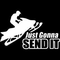 16*10.3cm 스노우 모빌 점프-그냥 그것을 보낼 비닐 데칼 자동차 스타일링 2007 액세서리, 02 WHITE