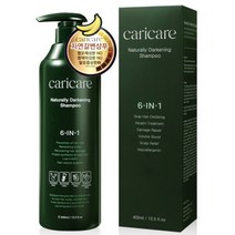 케리케어 탈모케어 케리케어 블랙샴푸 갈변샴푸 400ml, 케리케어 탈모케어 케리케어 블
