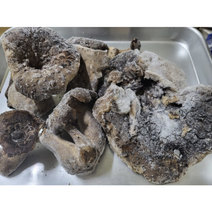 자연산 능이버섯 냉동능이 1kg C급 냉동능이버섯 삼계탕재료 히말라야 청정지역 티벳 제배 얼린능이버섯, 1개, 냉동 능이 C급 1kg