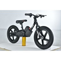 벨로스타 전기자전거 베스트 셀러 호주 전기 자전거 스쿠터 균형, Black, Black