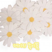 D 데이지 종이꽃, 상세페이지 참조