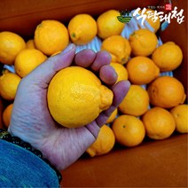 식탐대첩 제주 실속형 미니 한라봉 3kg 과수랜덤, 단품