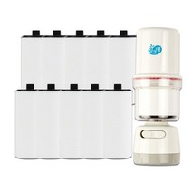 [천삼백케이] [이온폴리스] 듀벨 싱크애 코브라용 염소 녹물제거 호환필터 10개, 단품