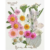 압화 컬러믹스 종합팩 꽃모음 17종 압화공예 액자 레진공예, 핑크2
