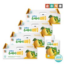 순수식품 순수식품 어린이 수세미 배즙 4박스(120포x100ml) 어린이기호식품인증, 단일옵션,상세 설명 참조, 120포, 100ml