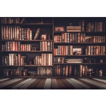 빈티지소품 신생아용 사진 스튜디오 졸업 시즌 배경 아트 패브릭 북 책장, 3.Vinyl36X25m