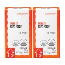 닥터루템 헤모어 락토 철분 비헴철 철분제 2박스 4개월분, 단품, 단품