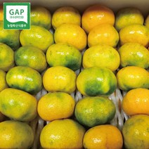 GAP인증 제주농원 하우스감귤 소과 5kg하루 100박스, 2.귤 5kg