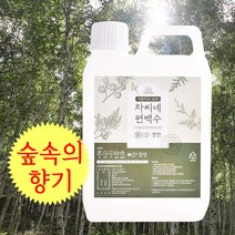 차씨네 편백수원액 4L 은은한 편백수의 향 피톤치트 천연 편백수 천연탈취제, 1개