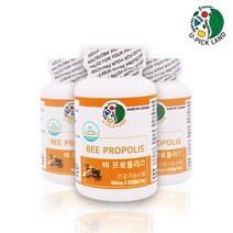 U-PICK LAND 캐나다정품 식약처인증 비 프로폴리스 400mg*60캡슐 플라보노이드 고함량 항산화 구강향균작용 환절기 황사철 건강증진 성장기 청소년 직장인 부모님건강관리, 1병, 60캡슐